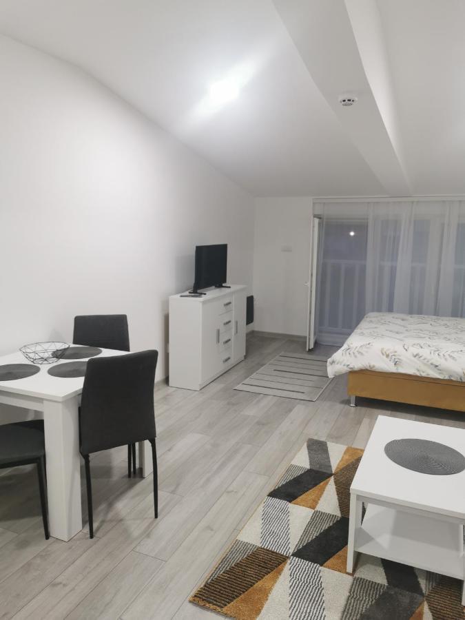 Studio Apartmani Banja Koviljača Extérieur photo