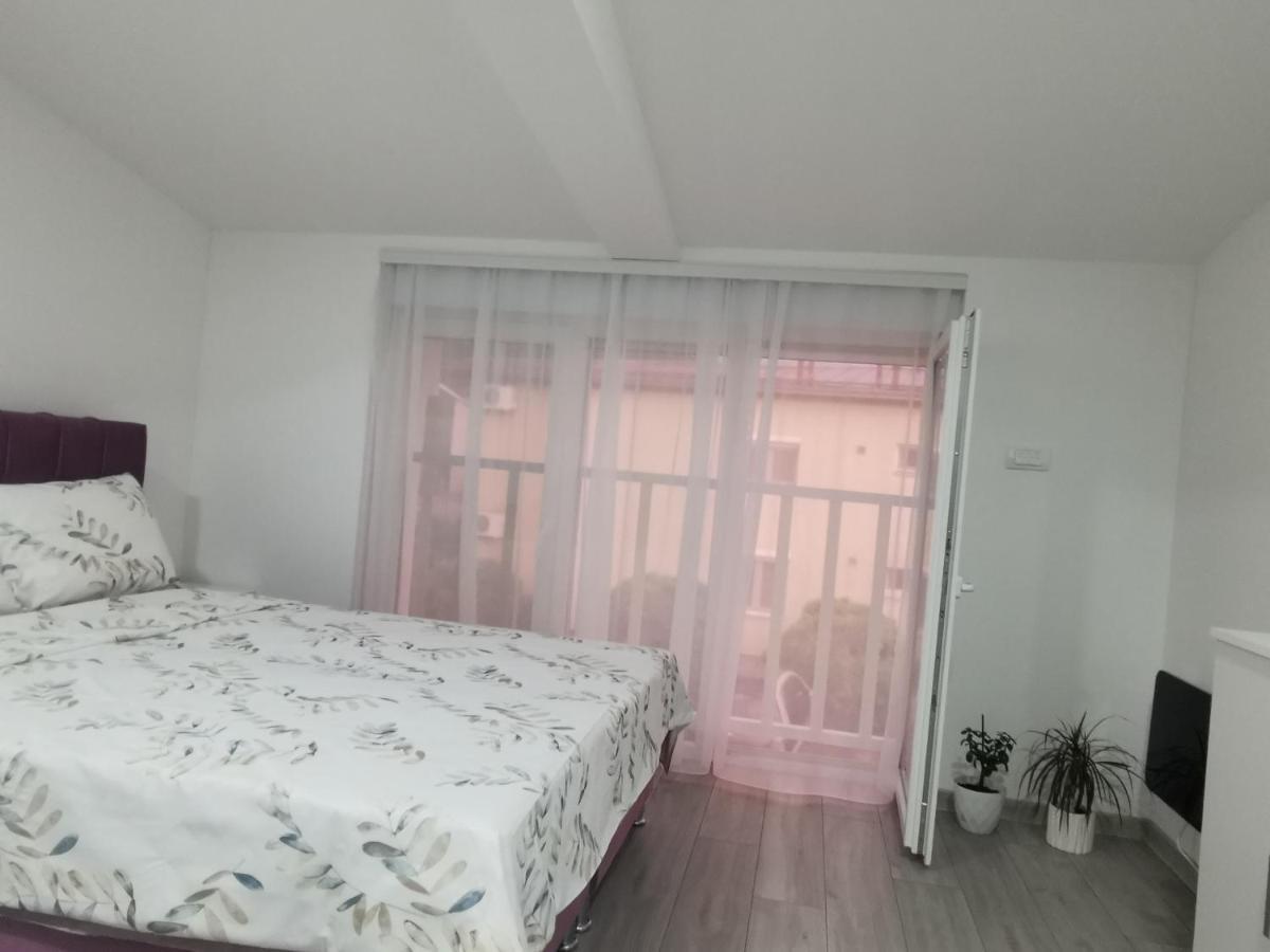 Studio Apartmani Banja Koviljača Extérieur photo