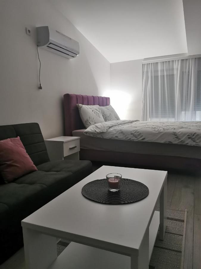 Studio Apartmani Banja Koviljača Extérieur photo