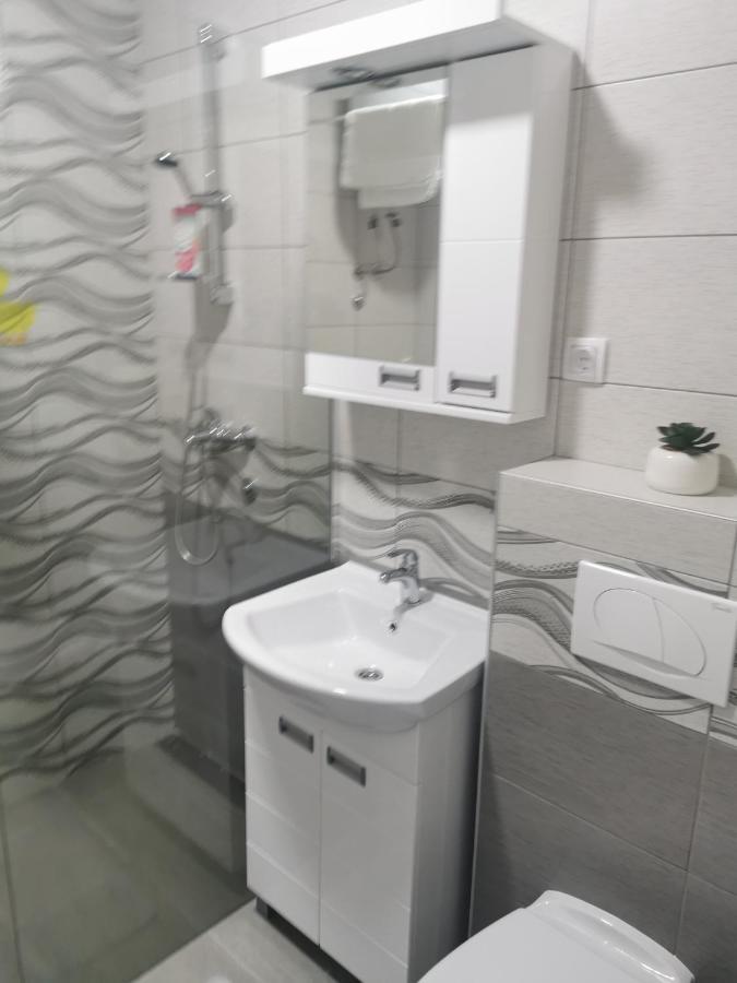 Studio Apartmani Banja Koviljača Extérieur photo