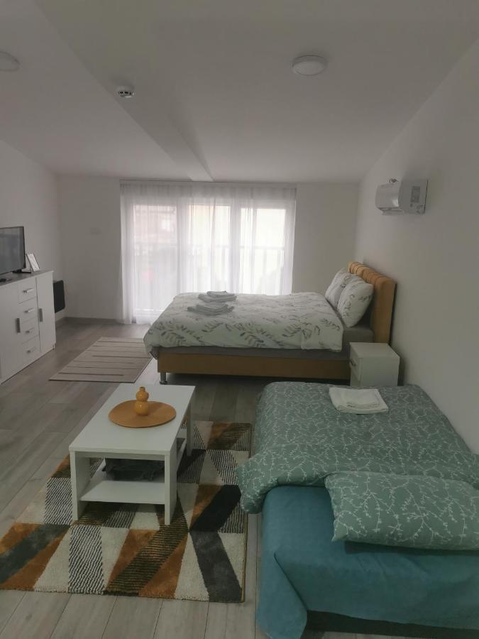 Studio Apartmani Banja Koviljača Extérieur photo
