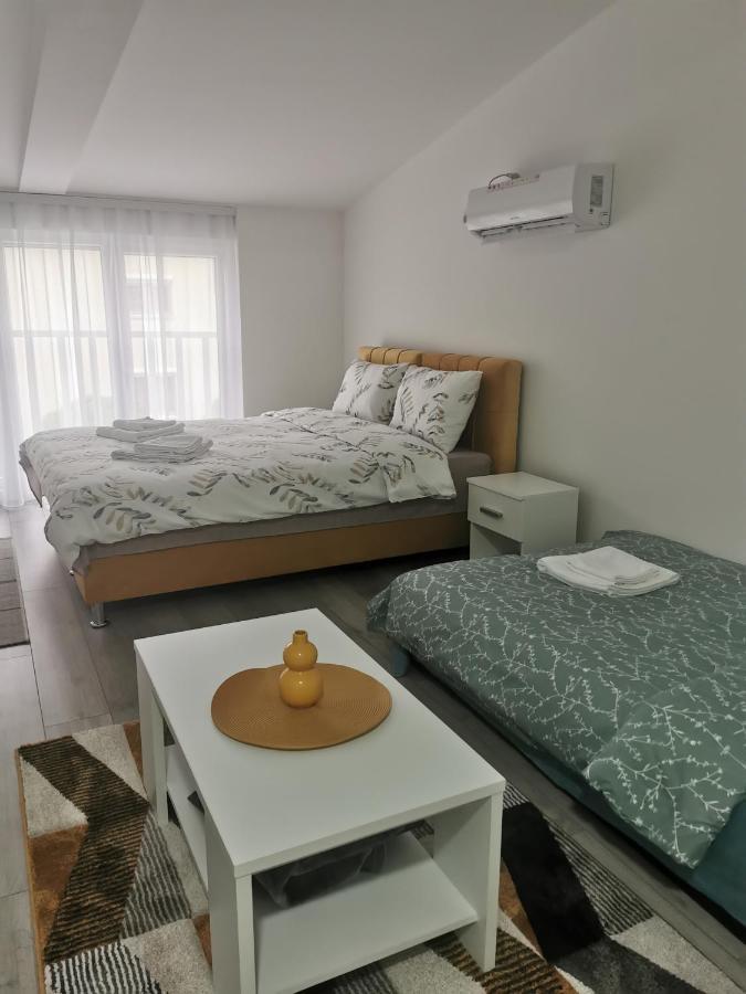 Studio Apartmani Banja Koviljača Extérieur photo
