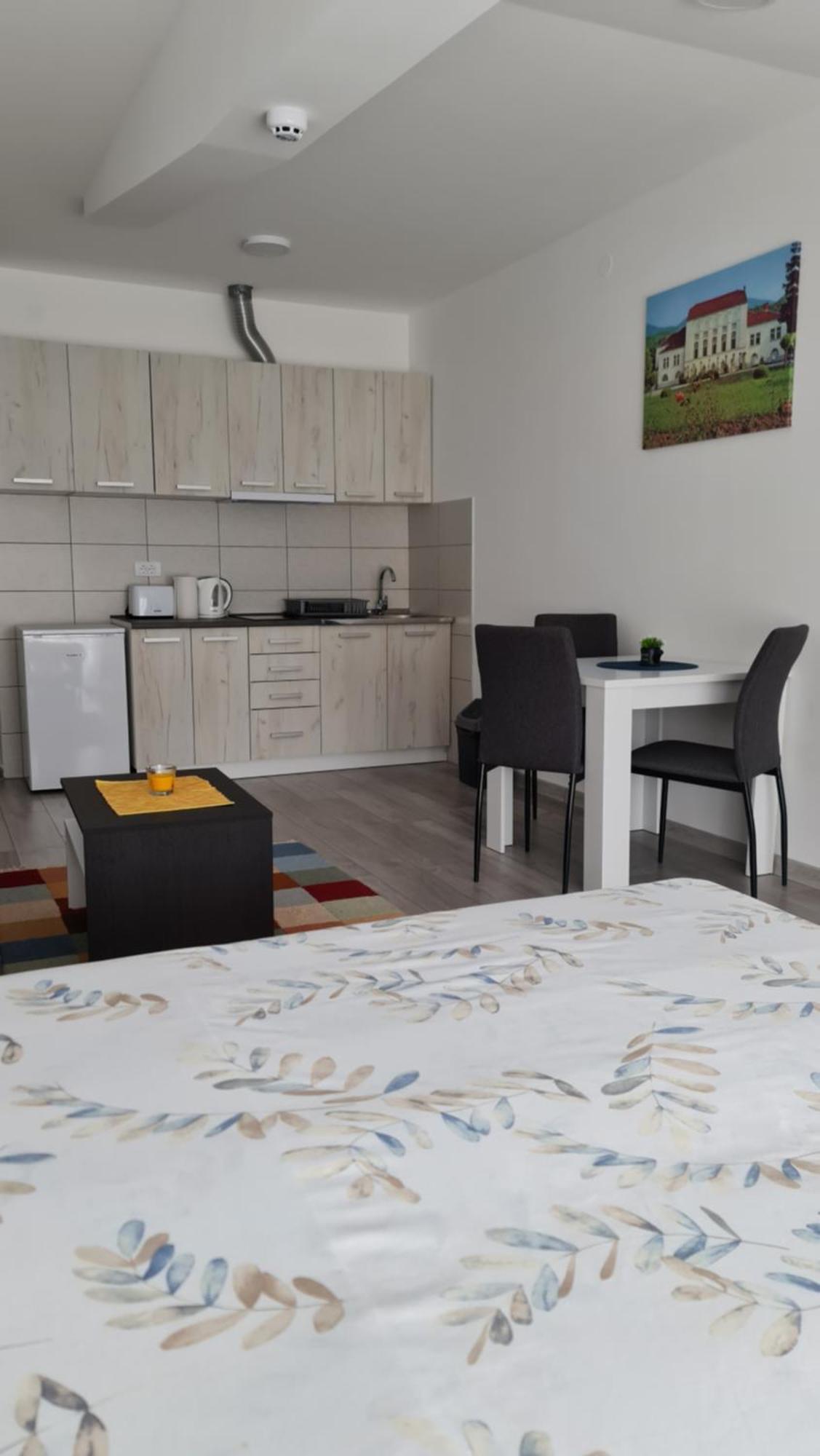 Studio Apartmani Banja Koviljača Extérieur photo